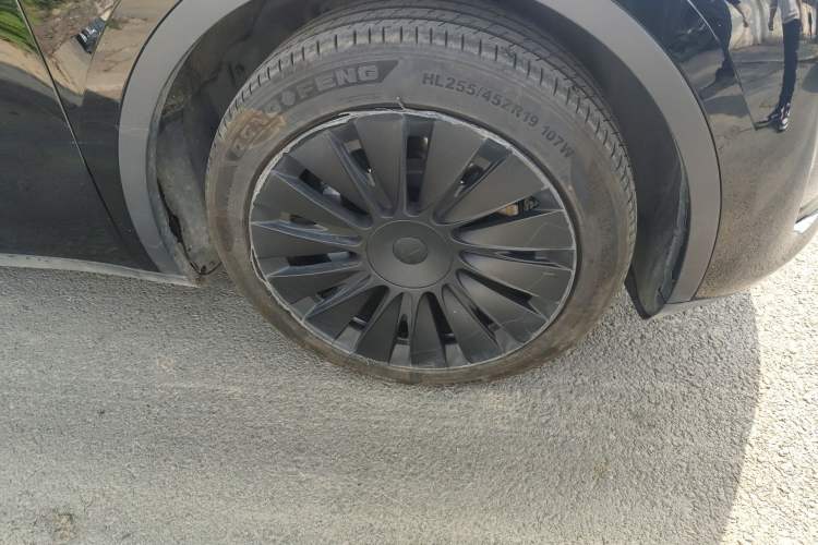 Used Tesla Model Y 2023 Rear-Wheel-Drive Version
