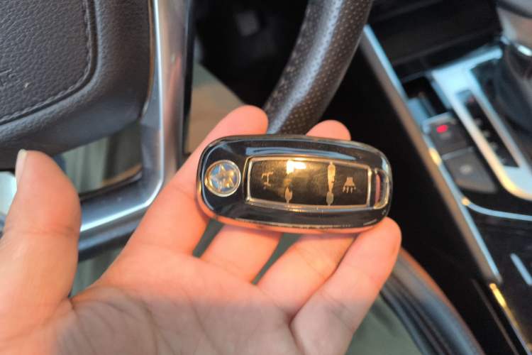 Used Venucia T60 2018 1.6L CVT Zhiyue Edition (ISS) China VI