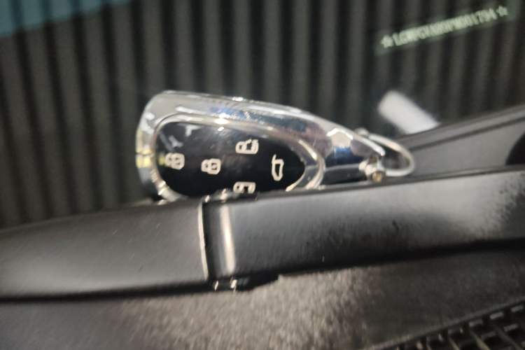 Used Wey Gaoshan 2023 Four-Wheel Drive Flagship Edition