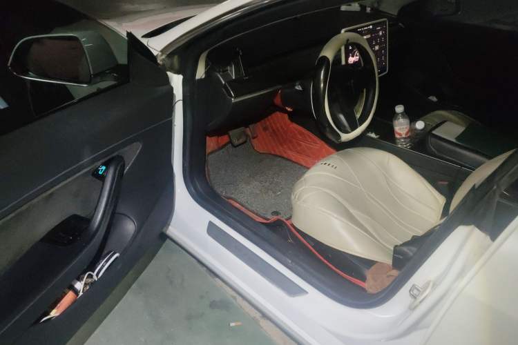 Used Tesla Model 3 2019 Standard Range Rear-Wheel Drive Upgraded Version (60 kWh)
