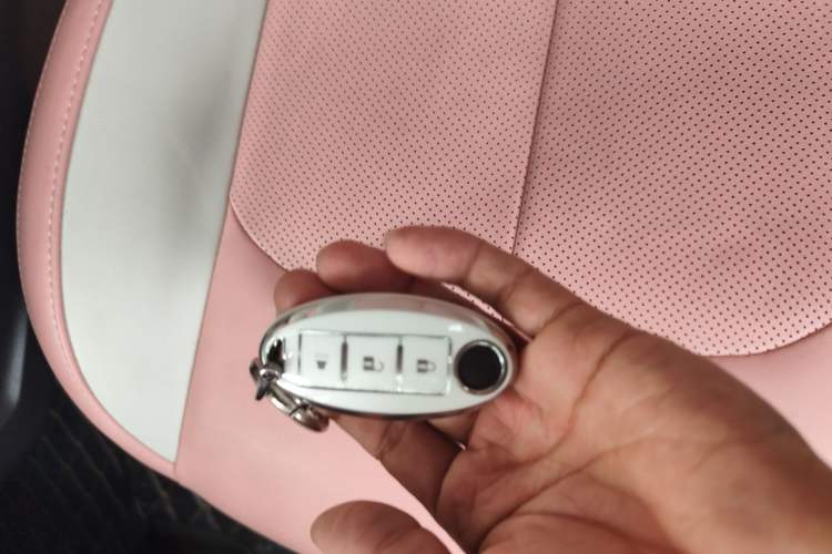 Used NETA V 2021 Witch Edition