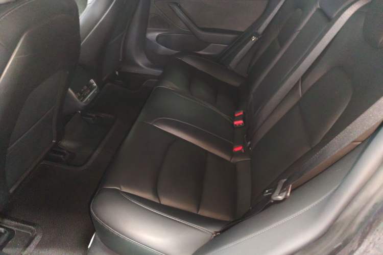 Used Tesla Model 3 2020 Standard Range Rear-Wheel Drive Upgraded Version