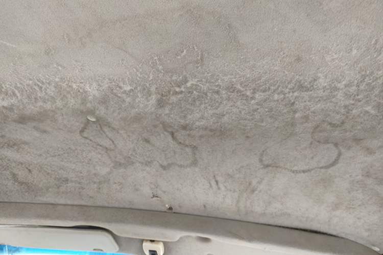 Used Jinbei Express 2017 2.0L Standard Version V19