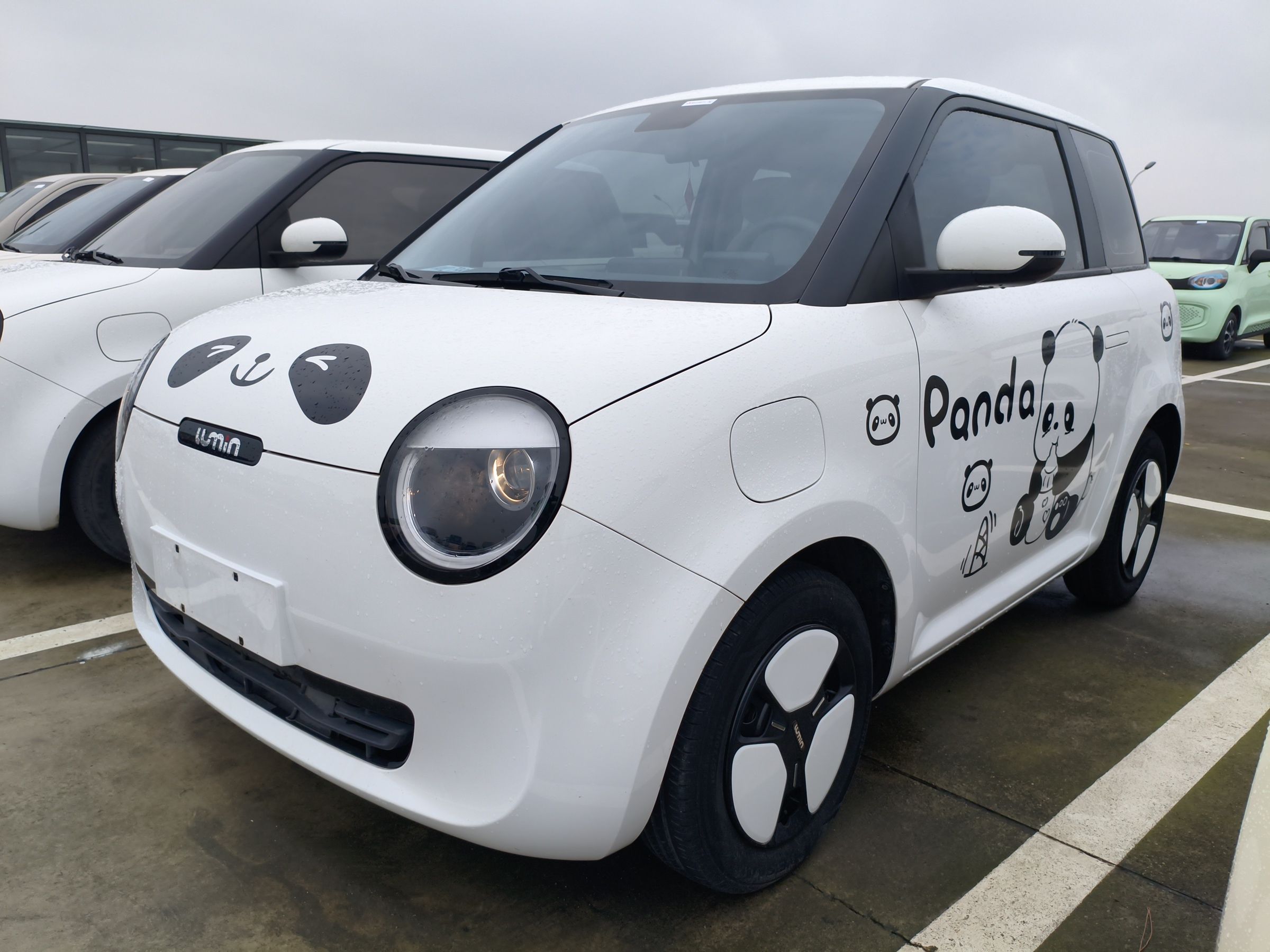 Parte inferior delantera