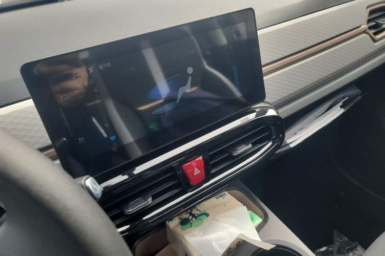 Used SOL E10X 2022 Flower Fairy Design Dandelion