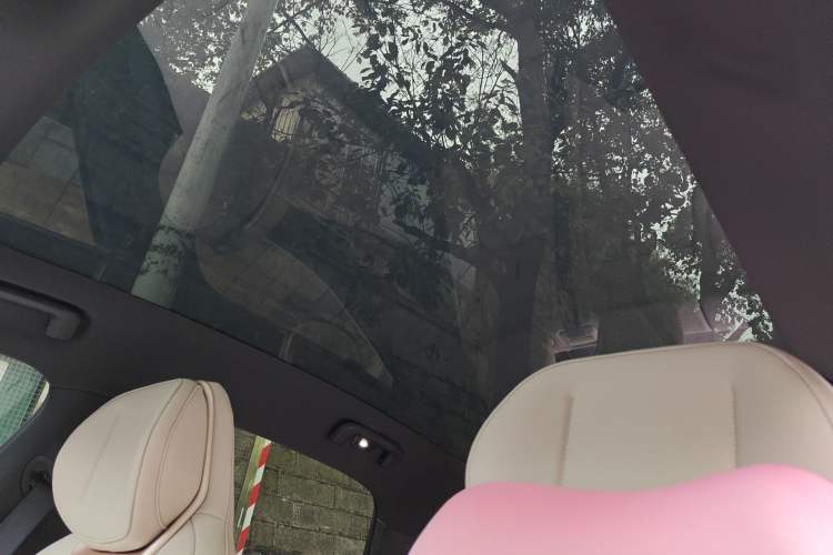 Used Lynk & Co Z20 2025 530 km Range Rear-Wheel Drive Max Headliner