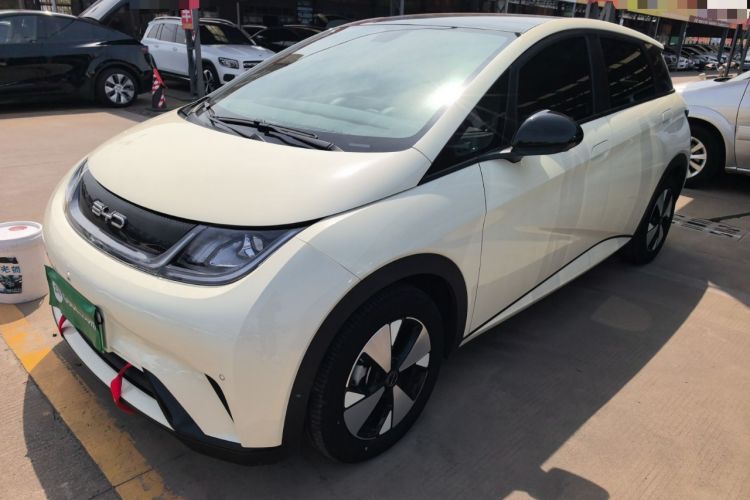 Used BYD Dolphin 2023 420 km Fashion Edition