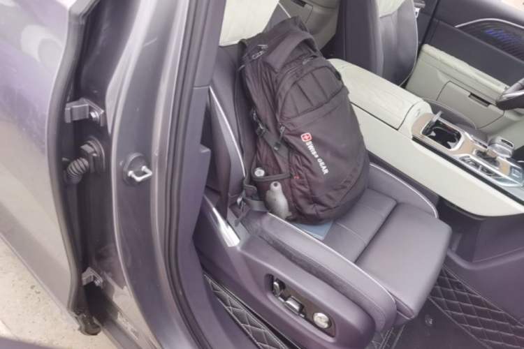 Used Hongqi E-HS9 2021 510 km Range Flagway Edition Six Seats Right Front Seat