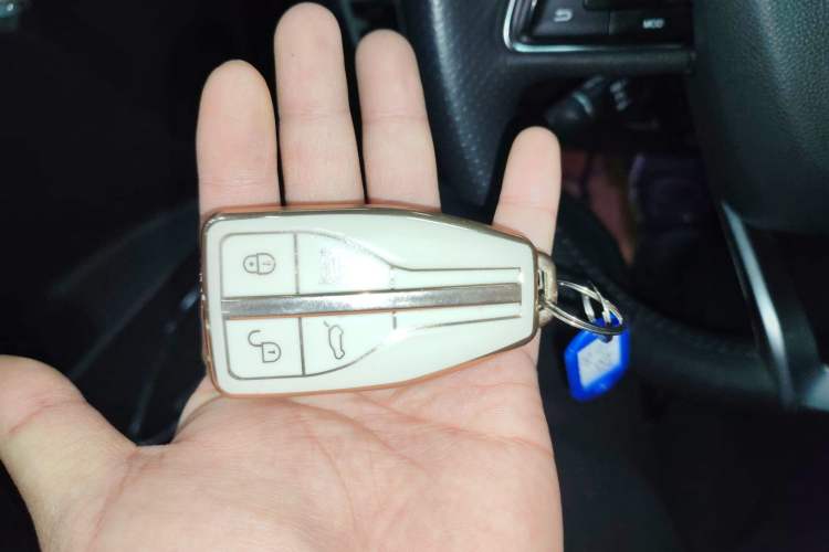 Used Hongqi HS5 2022 Revised Version 2.0T Smart Connect Flagship Edition