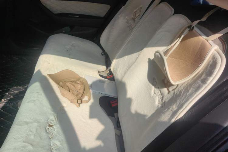 Used Volkswagen Magotan 2023 2 Million Units Commemorative Edition 330TSI DSG Luxury Version
