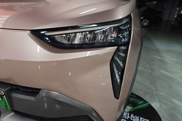 Used AION Y 2022 70 Enjoyment Edition Lithium Iron Phosphate