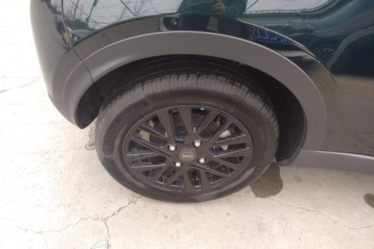 Used Chery Little Ant 2024 Facelifted 321km Beloved Edition