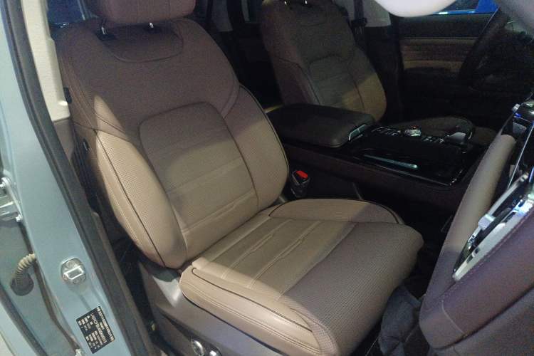 Used BAIC Off-Road BJ60 2022 2.0T Version 11 Five Seats
