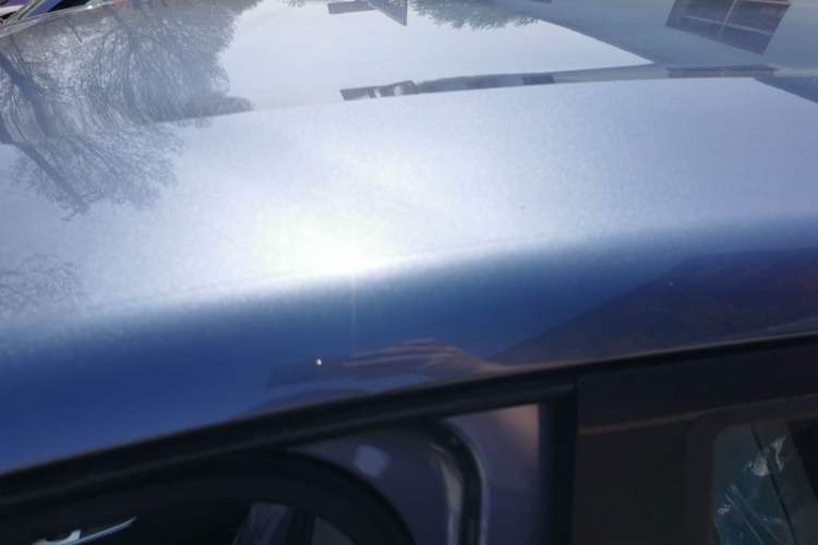 Used BYD Dolphin 2025 420km Free Edition Roof