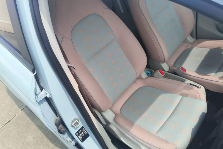 Used Leapmotor T03 2024 310 Comfort Edition Right Front Seat