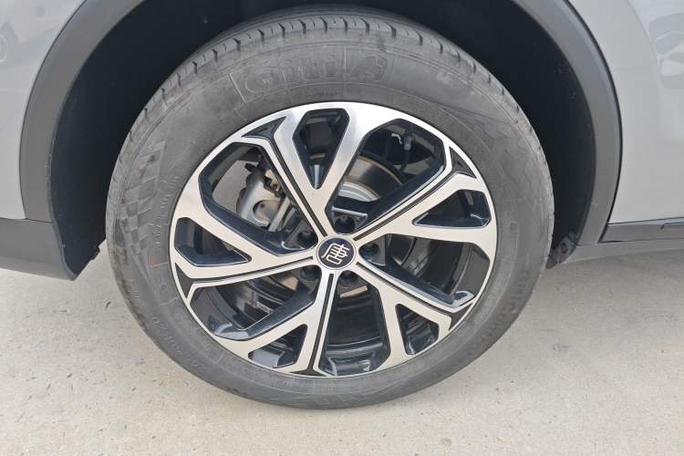 Used BYD Tang New Energy 2025 DM-i 115KM Cloud Ride Flagship Model