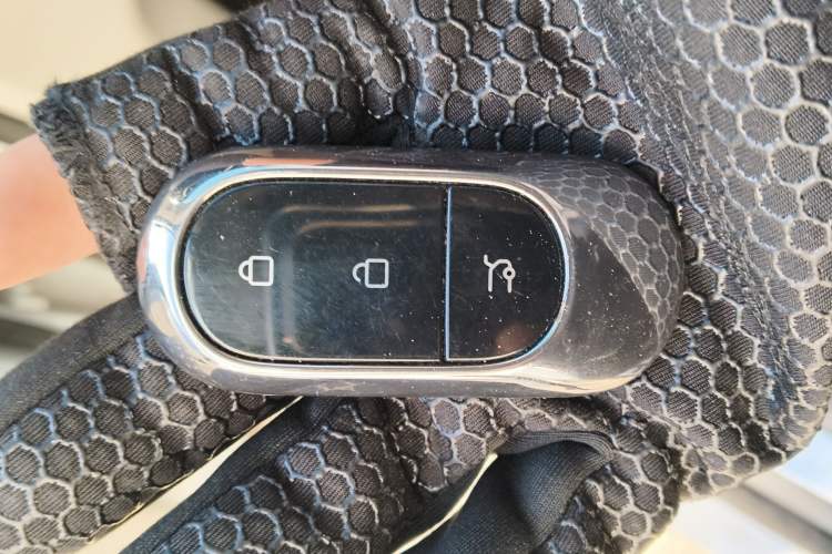 Used Leapmotor C11 2024 Range-Extended 300 Luxury Edition