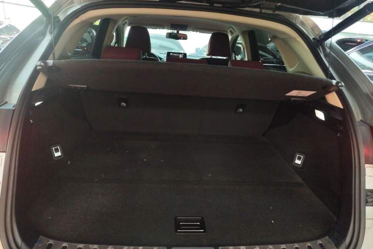 Used Lexus NX 2020 300 Front-Wheel-Drive Frenza Edition China V Standard