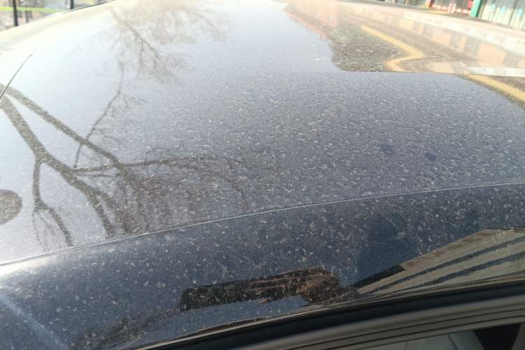 Used BYD Dolphin 2024 Honor Edition 420km Freedom Version