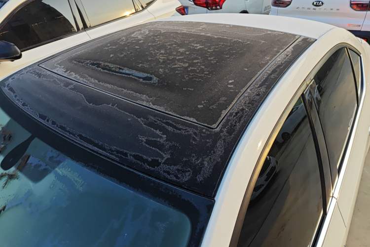 Used Skoda Octavia 2019 TSI230 DSG SmartDrive Luxury Edition China V Standard