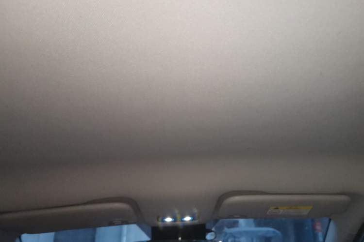 Used NETA V 2021 Long-Range Entertainment Edition Upgrade Model