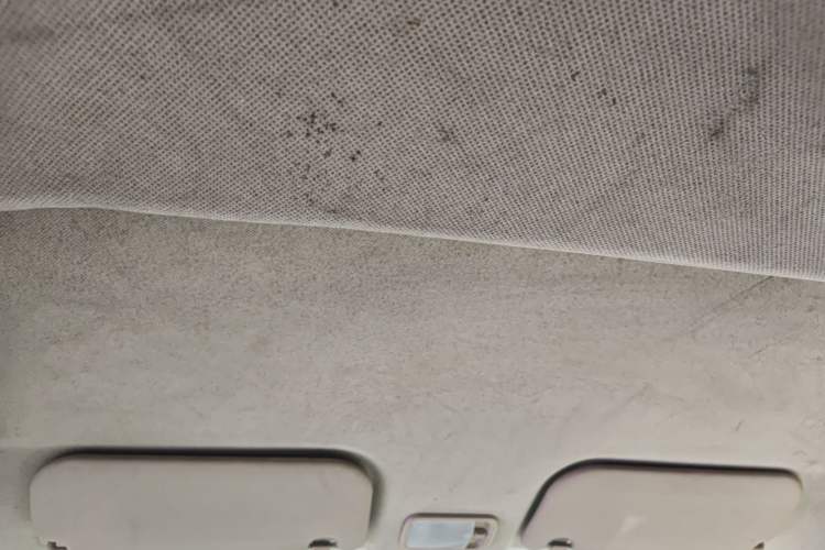 Used Wuling Rongguang V 2018 1.5L Standard Version Headliner