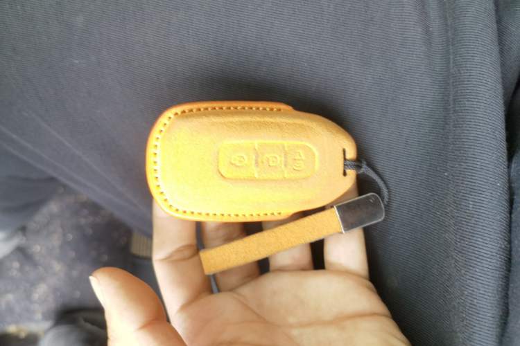 Used Ford Ranger 2023 Wild Terrain 4x4 Automatic Version Gasoline