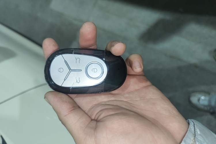 Used Geely Galaxy Geome 2025 310km Youth Edition