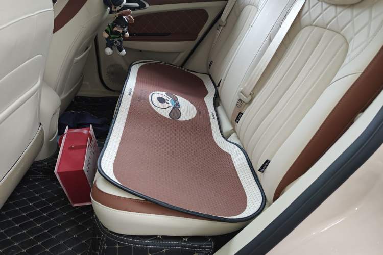 Used ORA Good Cat 2023 401 km Standard Range Prestige Version Lithium Iron Phosphate