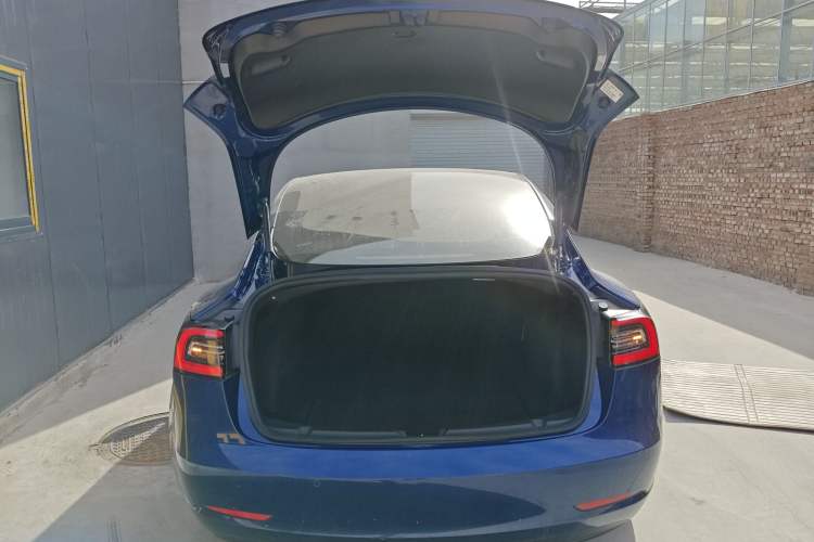 Used Tesla Model 3 (Import) 2019 Long-Range All-Wheel-Drive Version