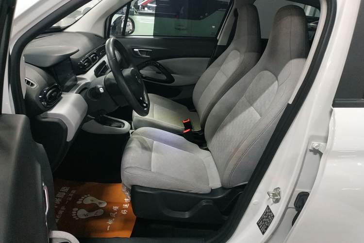 Used Leapmotor T03 2022 Agate Edition Left Front Seat