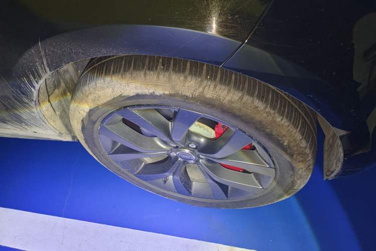 Used Land Rover Range Rover Evoque 2023 Aurora L 249 PS Collins Antique Bronze Special Edition
