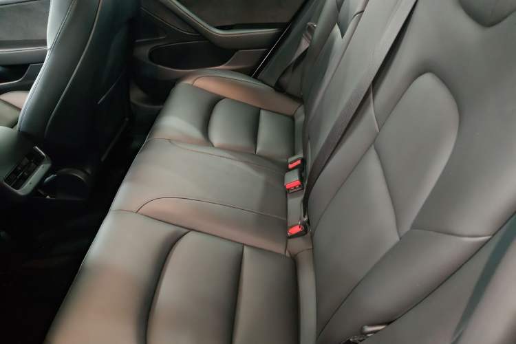 Used Tesla Model 3 2020 Revised Version Standard Range Rear-Wheel Drive – Upgraded Edition