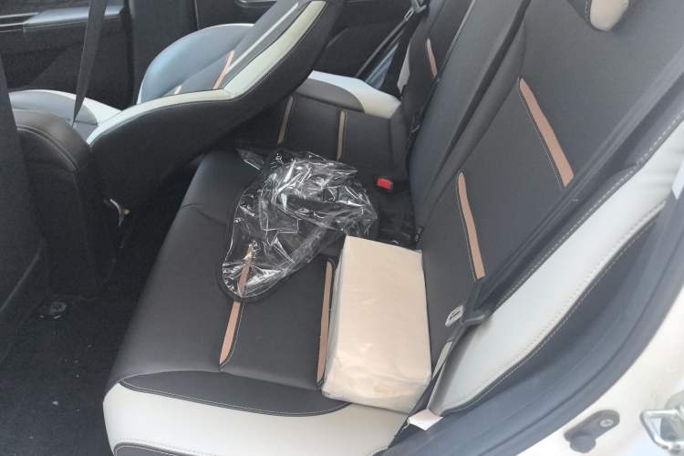 Used SOL E10X 2022 Flower Fairy Design Four-Leaf Clover Left Rear Seat