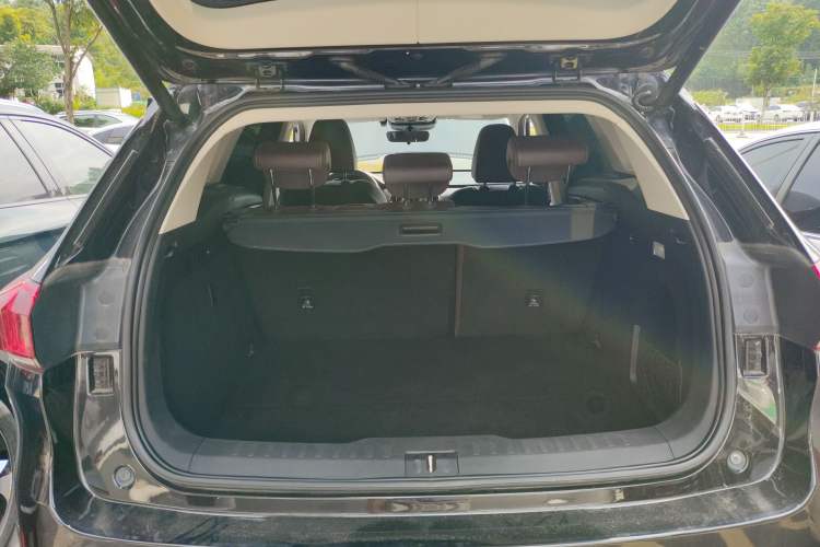 Used Wey VV6 2021 2.0T Two-Wheel Drive Smart Protection+