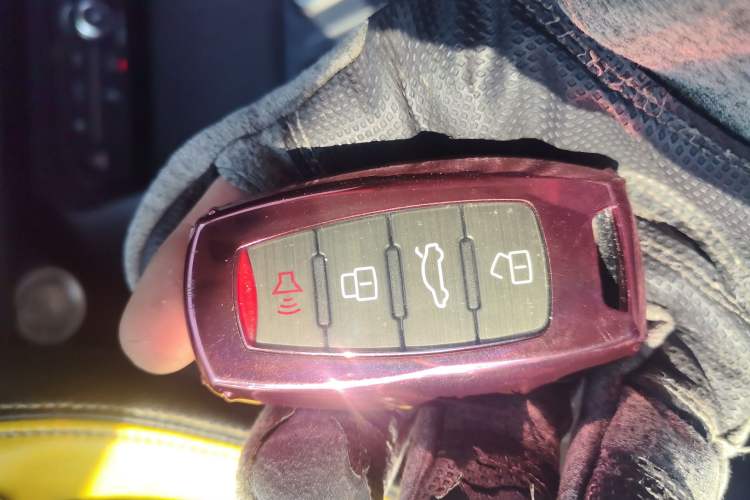 Used Haval F7 2019 2.0T Four-Wheel Drive iJoy China VI Standard