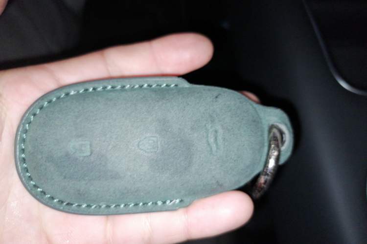 Used Li Auto L9 2022 Max model
