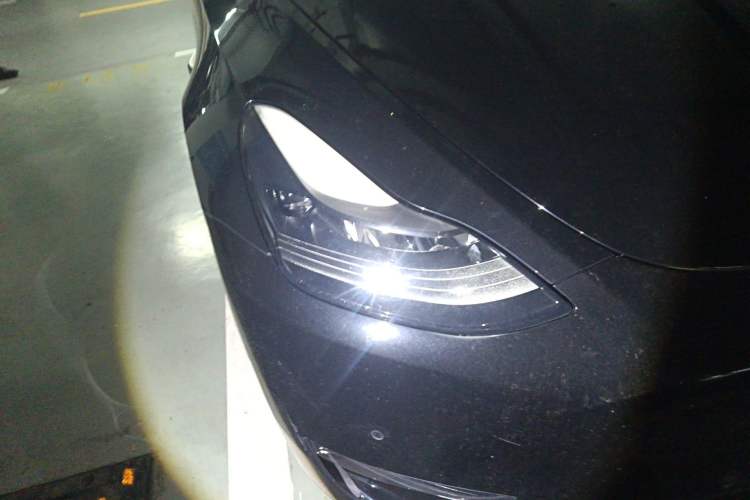 Used Tesla Model Y 2021 Long-Range All-Wheel-Drive Version