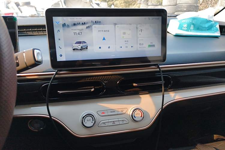 Used Cowin October 2025 Mate 300km Surfing Edition