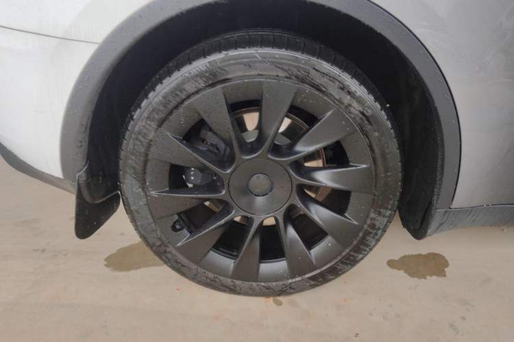 Used Tesla Model Y 2021 Long-Range All-Wheel-Drive Version 3D7
