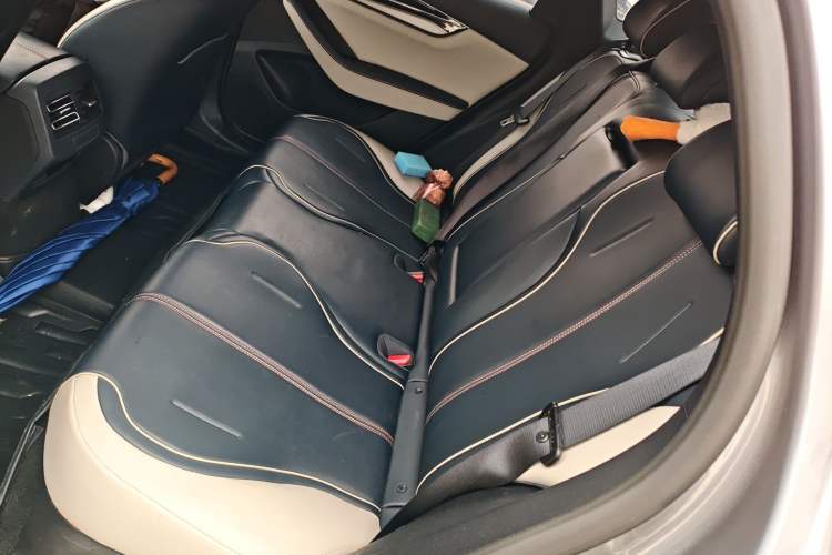 Used BYD Qin PLUS 2021 DM-i 120KM Flagship Model Left Rear Seat