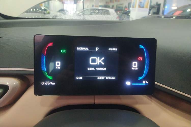 Used BYD Seagull 2025 305 km Free Version