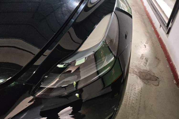 Used Tesla Model Y 2022 Revised Version Long-Range All-Wheel Drive
