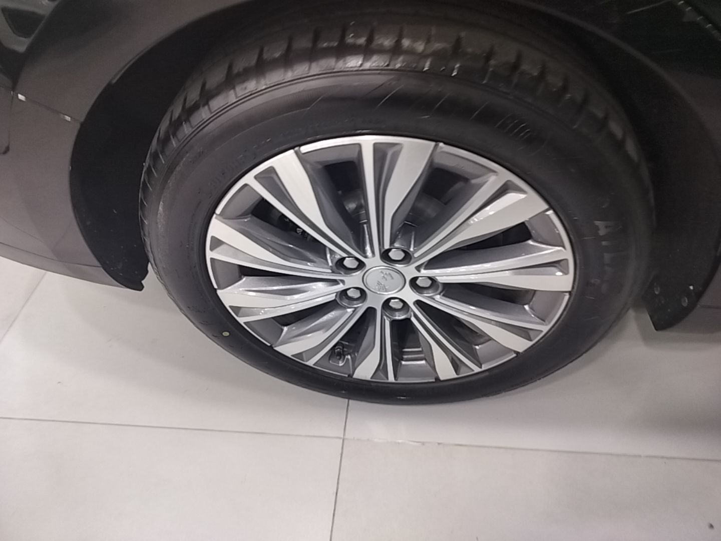 Hongqi E-QM5 2024 610 km PLUS — снимка 11