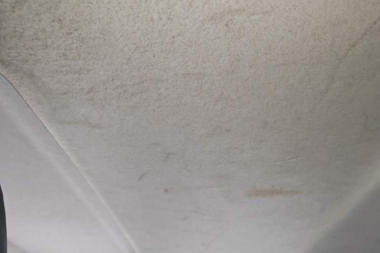 Used Nissan Lannia 2020 1.6L CVT Smart Connect Smart Cool Edition Headliner