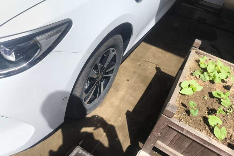 Used BYD Qin PLUS 2025 DM-i Smart Drive 120KM Superior Model
