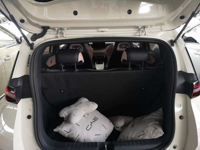 Used BYD Seagull 2023 Active Version — 18