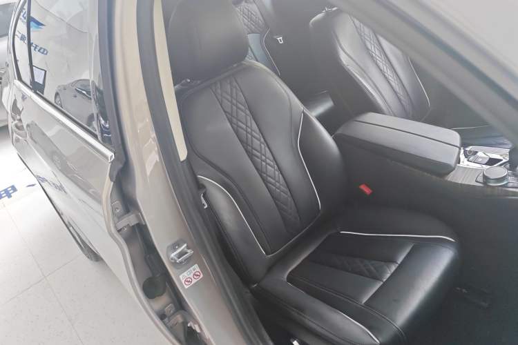 Used BMW 5 Series New Energy 2019 530Le Luxury Package