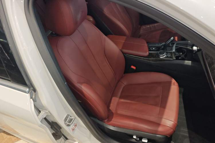 Used BMW 5 Series 2020 530Li Luxury Edition M Sport Package