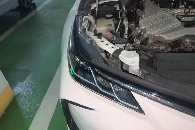 Used Toyota Corolla 2019 1.2T S-CVT GL-i Luxury Edition
